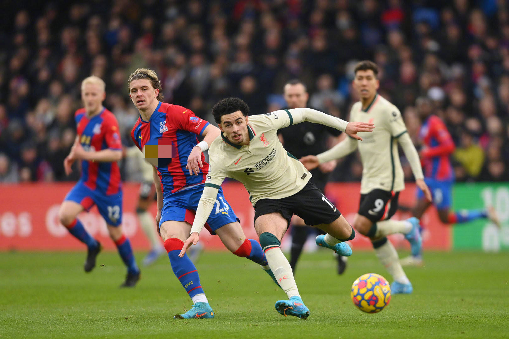 的议论中心 的议论中心